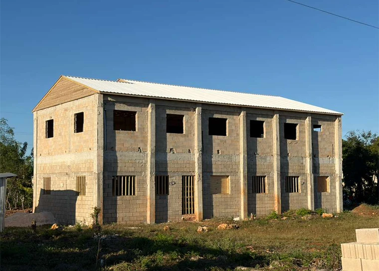 Phase 3: Second Floor & Roof