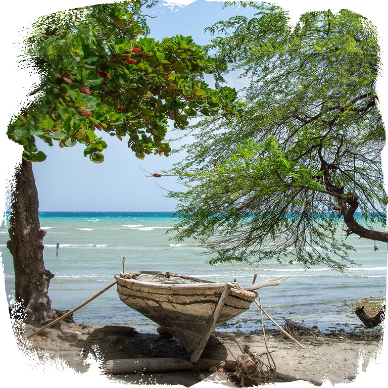 Travel to Haiti with Bold Hope