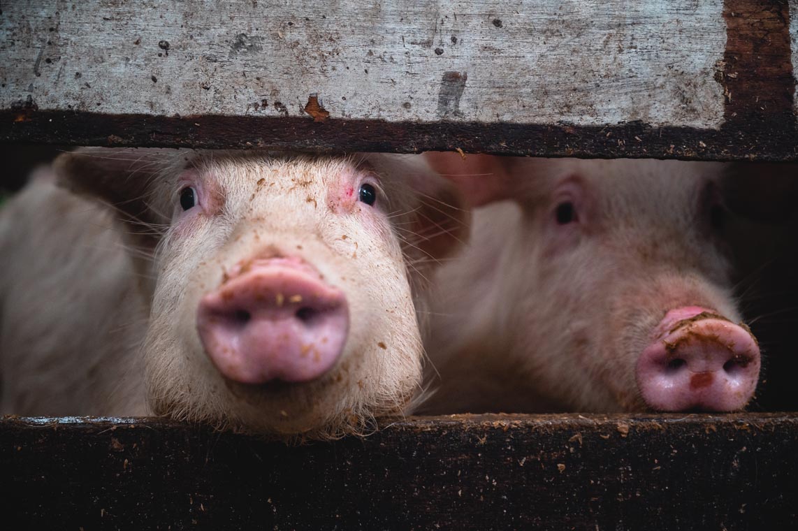 Community Development